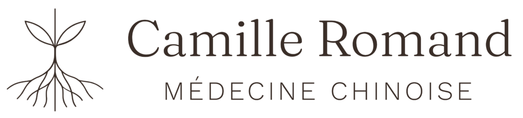 Camille Romand - Médecine chinoise Haute-Savoie Acupuncture Pharmacopée Chinoise Diététique Tuina Annecy La Roche sur Foron Cruseilles