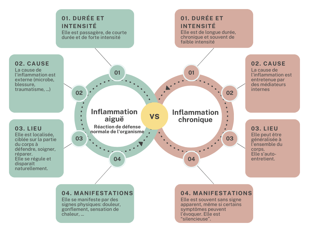 Tableau comparatif des différences entre inflammation aiguë ou chronique