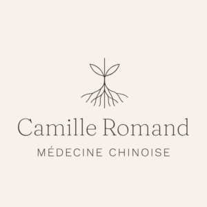 Logo Camille Romand MTC Médecine Traditionnelle Chinoise Haute-Savoie Annecy La Roche sur Foron Cruseilles